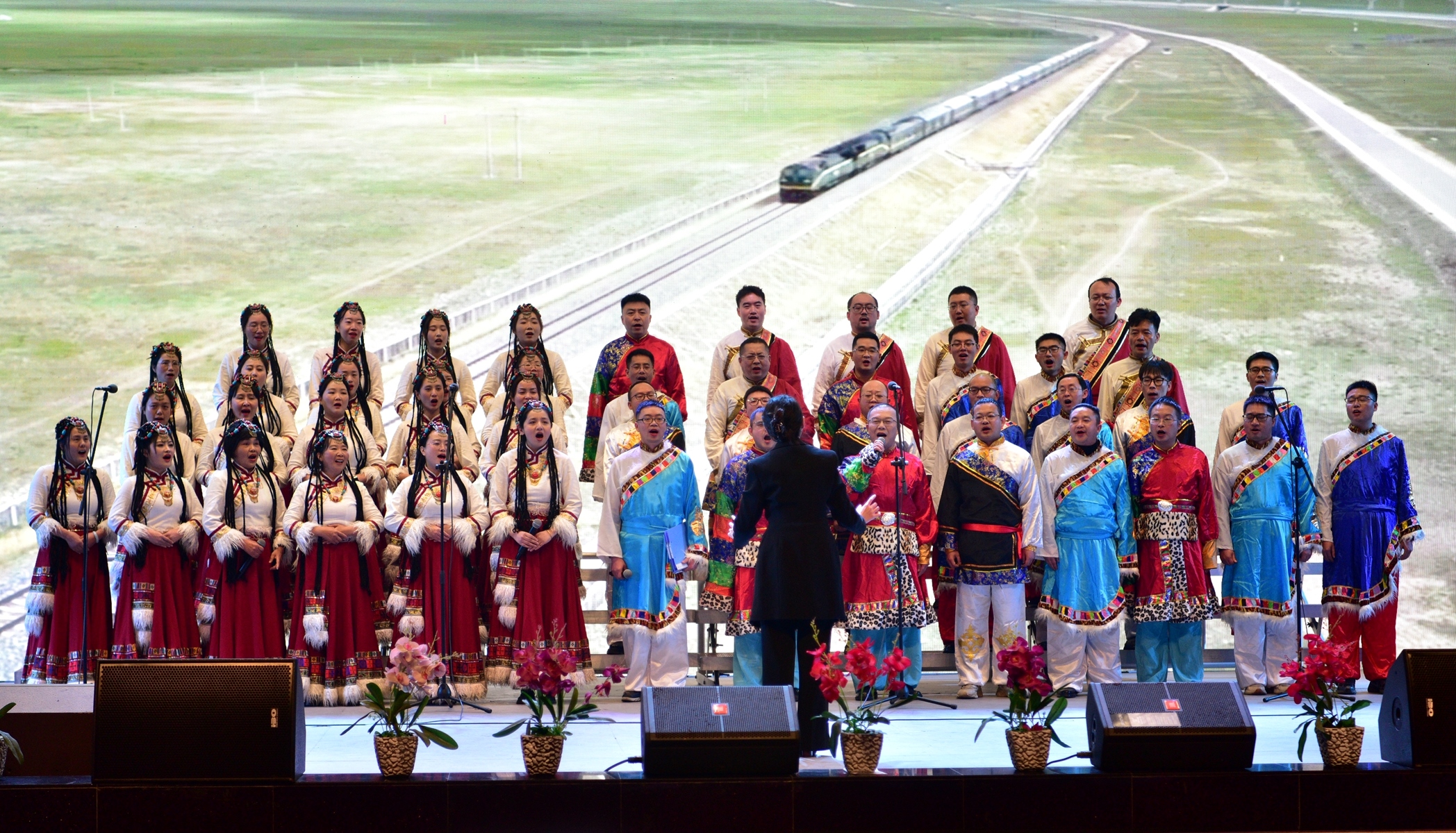 DSC_3066_副本.jpg DSC_3066_副本.jpg