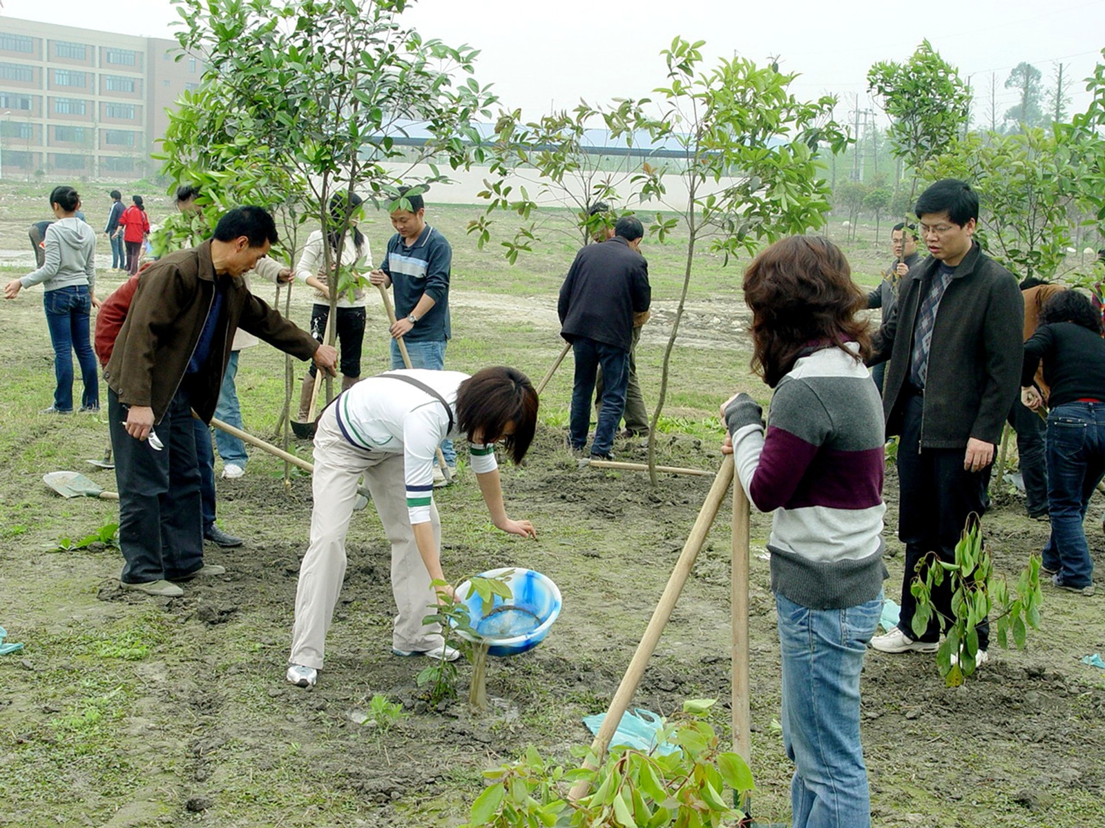 执锹种下育人林，执笔书写桃李情  + 综合二分工会+徐莉涛 (1)_副本.jpg